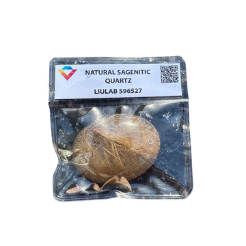 Natural Sagenitic Quartz Palm Stone – Golden Rutile Threads | LIULAB 596527 Certified