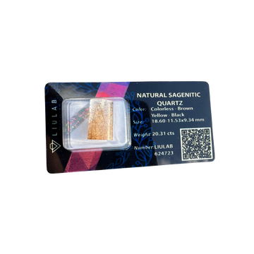 Natural Sagenitic Quartz – Golden-Black Rutile Inclusions | LIULAB Certified #624723